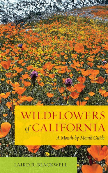 Wildflowers of California: A Month-by-Month Guide
