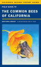 Field Guide to the Common Bees of California: Including Bees of the Western United States