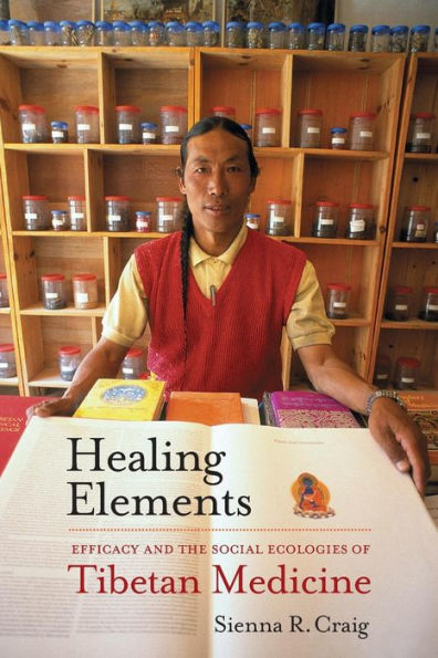 Healing Elements: Efficacy and the Social Ecologies of Tibetan Medicine / Edition 1