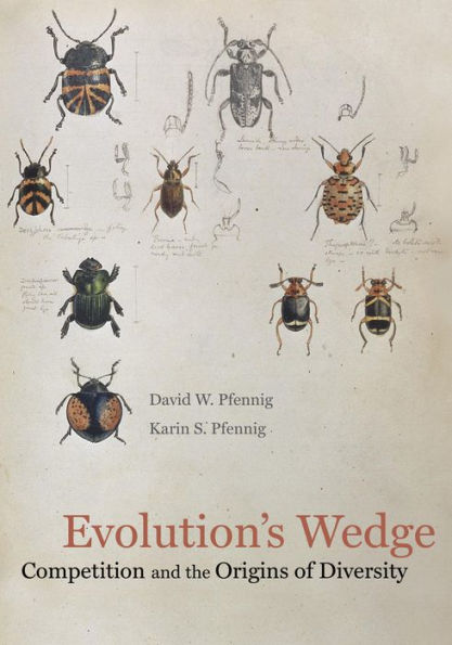 Evolution's Wedge: Competition and the Origins of Diversity