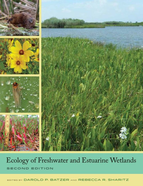 Ecology of Freshwater and Estuarine Wetlands / Edition 2