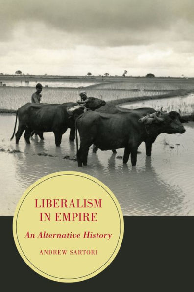 Liberalism in Empire: An Alternative History