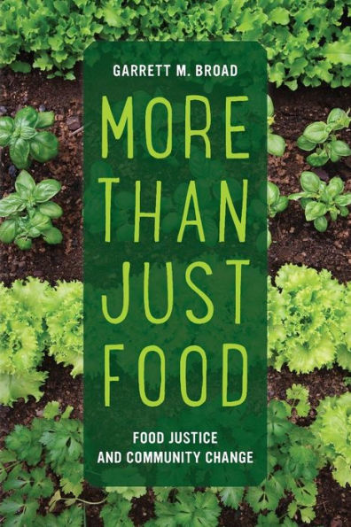 More Than Just Food: Food Justice and Community Change / Edition 1