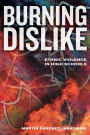 Burning Dislike: Ethnic Violence in High Schools