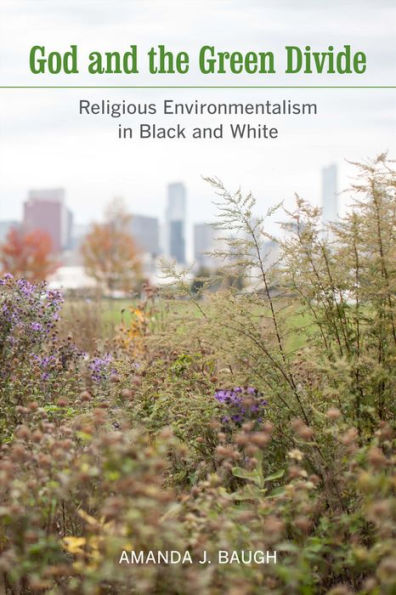 God and the Green Divide: Religious Environmentalism Black White