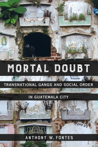 Mortal Doubt: Transnational Gangs and Social Order Guatemala City