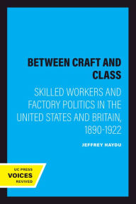 Title: Between Craft and Class: Skilled Workers and Factory Politics in the United States and Britain, 1890-1922, Author: Jeffrey Haydu