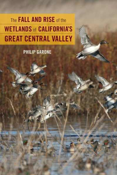 the Fall and Rise of Wetlands California's Great Central Valley