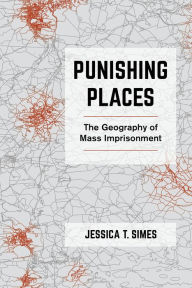 Books audio downloads Punishing Places: The Geography of Mass Imprisonment (English Edition)  9780520380332 by 
