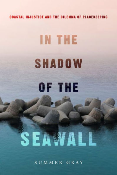 the Shadow of Seawall: Coastal Injustice and Dilemma Placekeeping