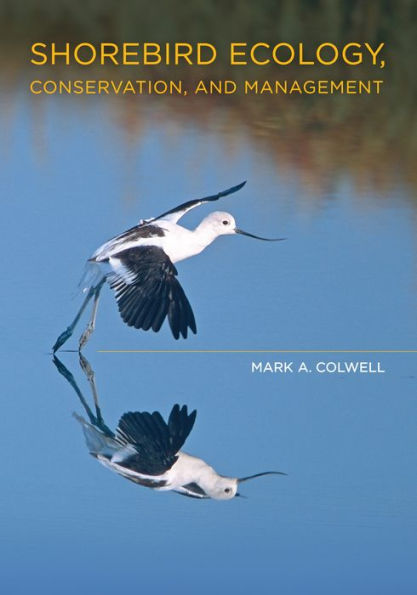 Shorebird Ecology, Conservation, and Management