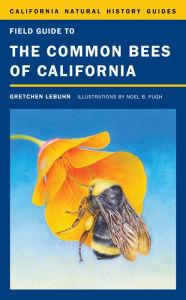 Title: Field Guide to the Common Bees of California: Including Bees of the Western United States, Author: Gretchen LeBuhn