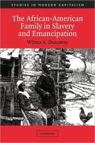 Title: The African-American Family in Slavery and Emancipation / Edition 1, Author: Wilma A. Dunaway