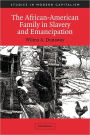 The African-American Family in Slavery and Emancipation / Edition 1