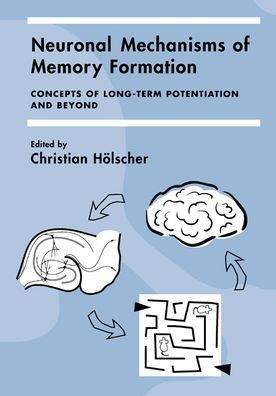 Neuronal Mechanisms of Memory Formation: Concepts of Long-term Potentiation and Beyond