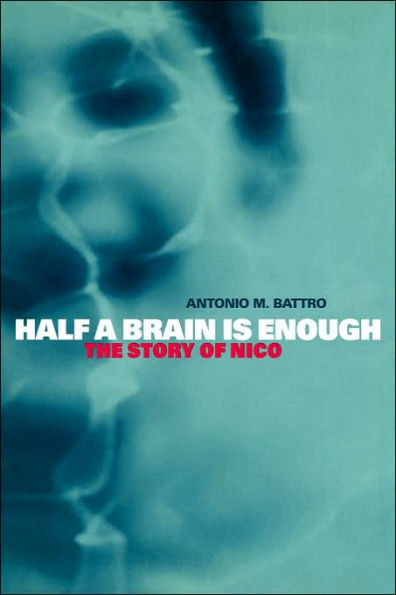 Half a Brain is Enough: The Story of Nico