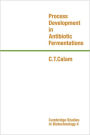 Process Development in Antibiotic Fermentations