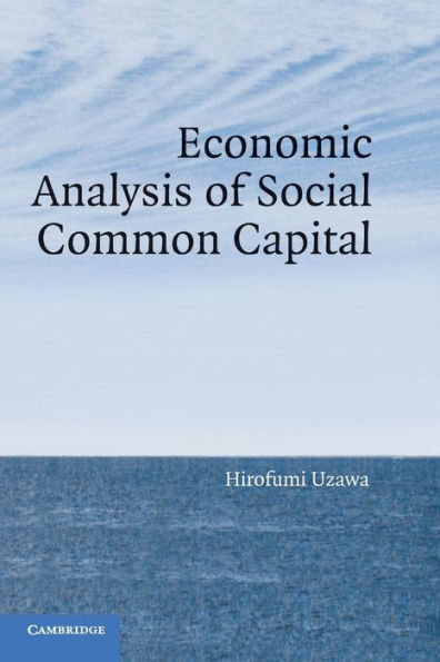Economic Analysis of Social Common Capital
