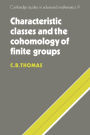 Characteristic Classes and the Cohomology of Finite Groups