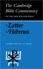 A Letter to Hebrews