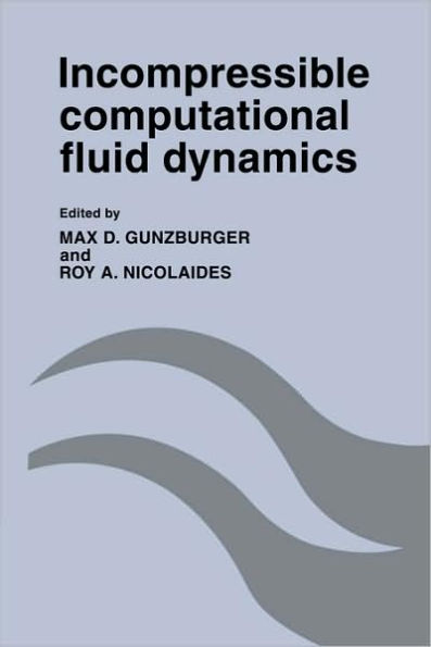 Incompressible Computational Fluid Dynamics: Trends and Advances