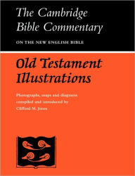 Title: Old Testament Illustrations, Author: Clifford M. Jones