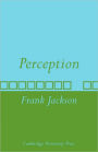 Perception: A representative theory