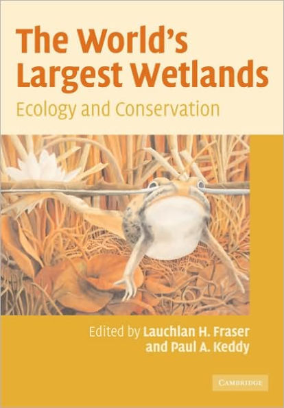 The World's Largest Wetlands: Ecology and Conservation