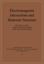 Electromagnetic Interactions and Hadronic Structure