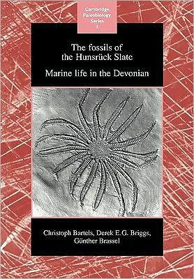 The Fossils of the Hunsrück Slate: Marine Life in the Devonian