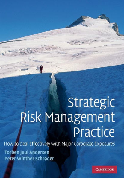 Strategic Risk Management Practice: How to Deal Effectively with Major Corporate Exposures