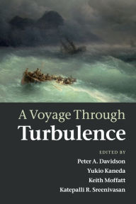 Title: A Voyage Through Turbulence, Author: Peter A. Davidson