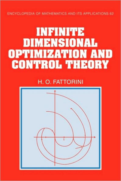 Infinite Dimensional Optimization and Control Theory