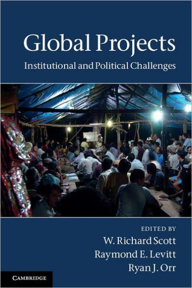 Global Projects: Institutional and Political Challenges