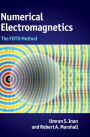 Numerical Electromagnetics: The FDTD Method