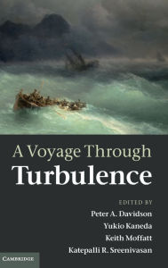 Title: A Voyage Through Turbulence, Author: Peter A. Davidson