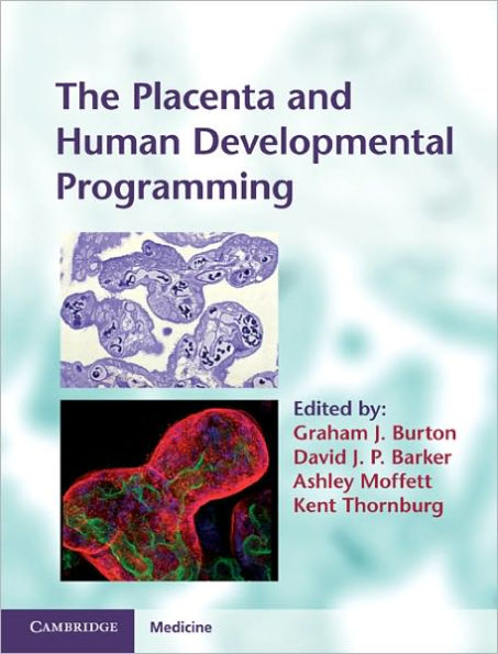The Placenta and Human Developmental Programming