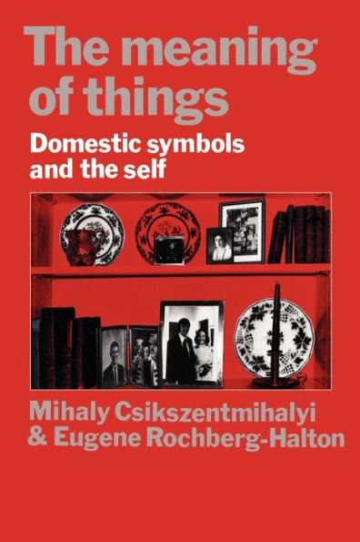 The Meaning of Things: Domestic Symbols and the Self / Edition 1