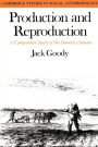 Production and Reproduction: A Comparative Study of the Domestic Domain / Edition 1