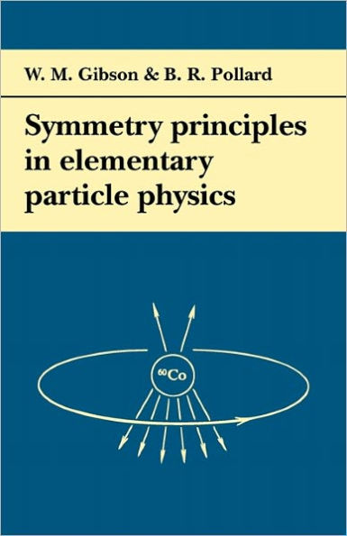 Symmetry Principles Particle Physics