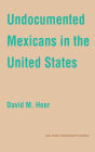 Undocumented Mexicans in the USA