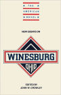 New Essays on Winesburg, Ohio