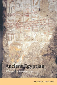 Title: Ancient Egyptian: A Linguistic Introduction, Author: Antonio Loprieno