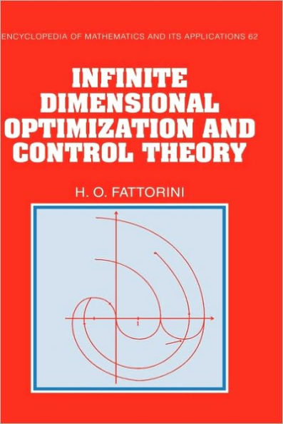 Infinite Dimensional Optimization and Control Theory