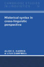 Historical Syntax in Cross-Linguistic Perspective