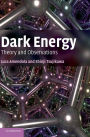 Dark Energy: Theory and Observations