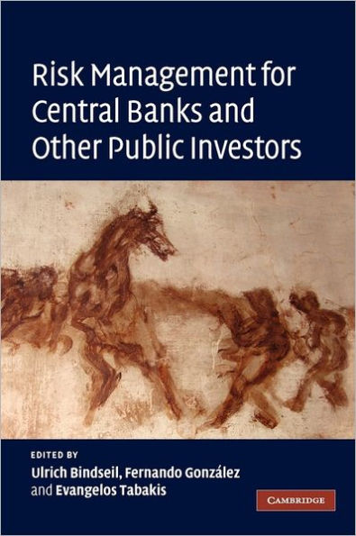 Risk Management for Central Banks and Other Public Investors