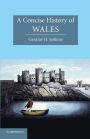 A Concise History of Wales