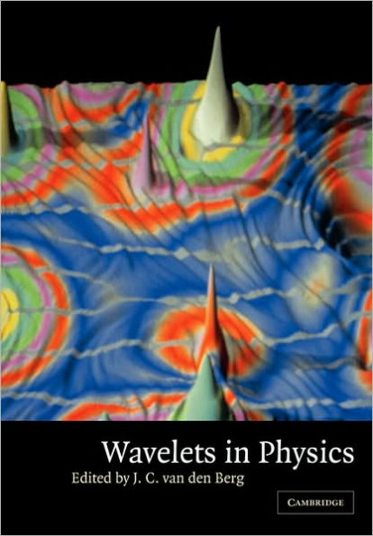 Wavelets in Physics / Edition 1