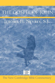 Title: The Gospel of John, Author: Jerome H. Neyrey